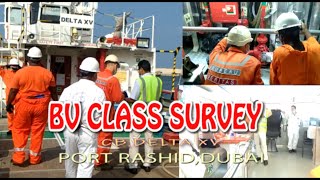 BV class survey