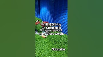 Export packing G4 Green chilli from Mumbai #import #container #export #logistics #dubaiexport