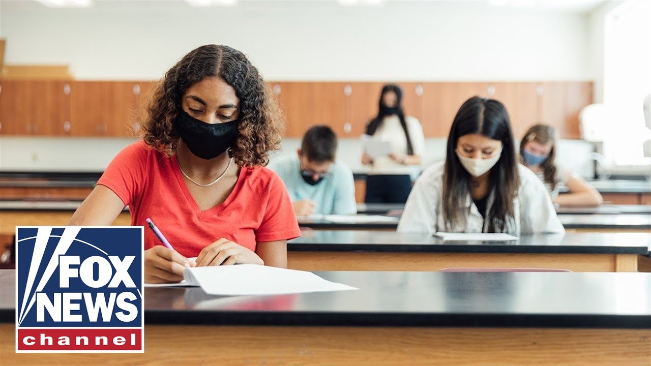 Public school students 'abused' by critical race theory: Swain