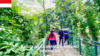 Download Lagu Bandung City Forest Walk Path Babakan Siliwangi in Indonesia [4K HDR] Suasana Hutan Kota di Bandung MP3