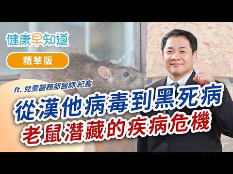 國際郵輪漢他病毒為什麼會人傳人？當代還有黑死病嗎？ Feat.紀鑫醫師｜週五首播｜主持人洪素卿｜【健康早知道】S5EP5 漢他病毒