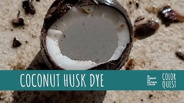FORAGING FOR COLOR - ARUBA - PART 5 | COCONUT HUSK | ORGANIC COLOR | BEIGE TAN NEUTRAL