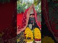 Maakali ka vasarjan🧿😭✨#mranekvlogs #kalimaa #durgaaarti #ytshorts #shortsfeed #viewers #viralshorts