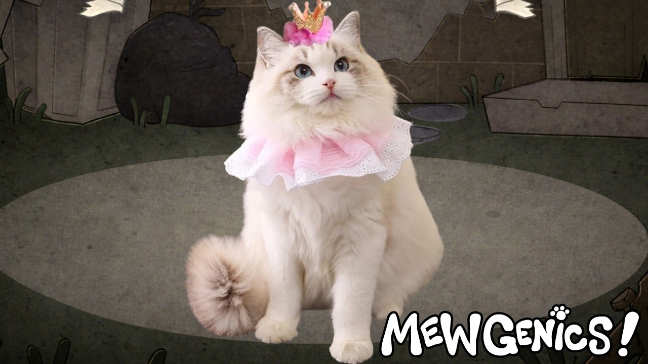 JAKA ŚLICZNOTKA | Mewgenics