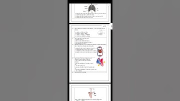 Science Class 10 Official Sample Paper for Term 1 (2021-22)