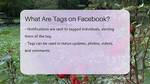 What Are Tags on Facebook? - Everyday-Networking