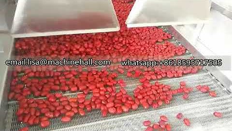 Automatic Date Washing and Drying Machine Working Video