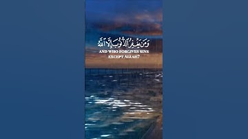 سورة آل عمران الآية 135 بصوت الشيخ محمد الفقيه