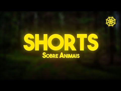 ARANHA-PAPA-MOSCAS - #shorts