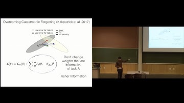 Continual Learning in Neural Networks by Pulkit Agarwal