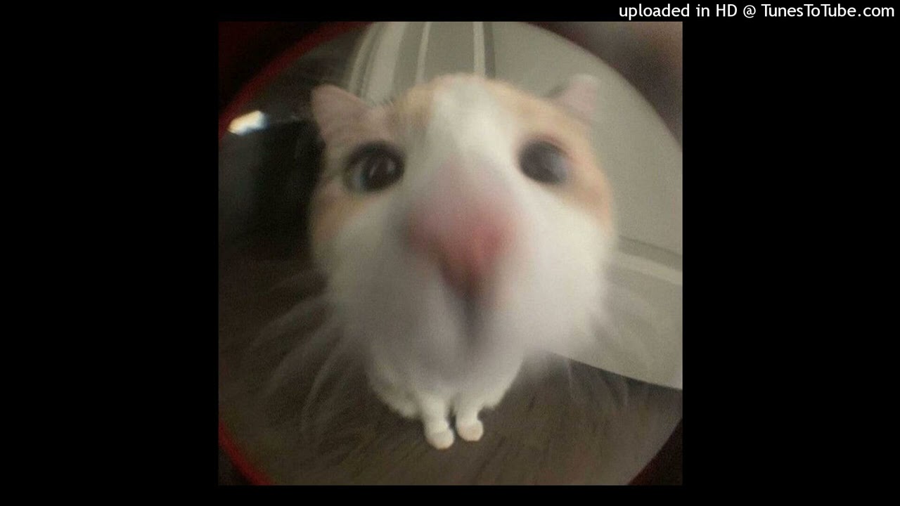 *FREE* Jersey Club + ShineBless Type Beat "Lonely"