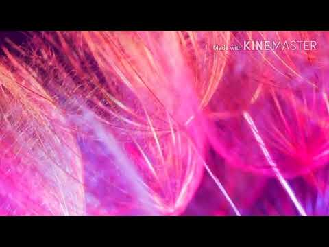 احمد الابراهيم ٢٠١٨