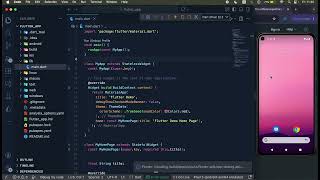 Mobile App Development Course: Lesson #9 - The Debug & Pubspec File