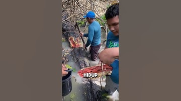 Rahasia Tersembunyi Cacing Tembiluk: Fakta Menarik yang Jarang Diketahui #shorts