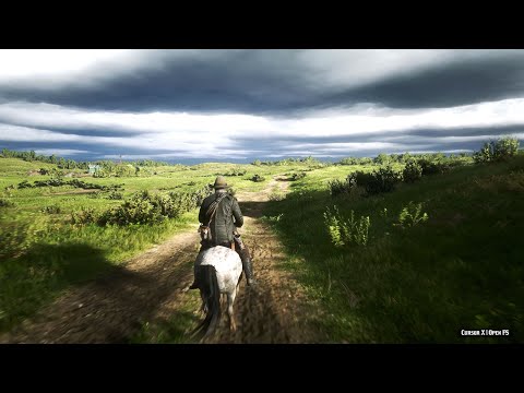 RdR2 8K - RTX 3090! - close to realism!! - Beyond all Limits Raytracing Reshade - Ultra max settings