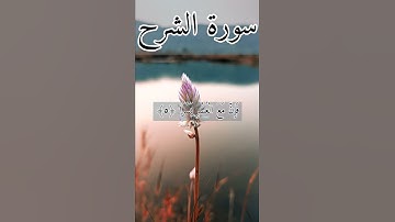 سورة الشرح بصوت#هزاع_البلوشي#القرآن_الكريم_منوعات_منوعات