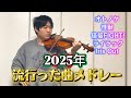 2025年に流行った曲メドレーをヴァイオリンで弾いてみた