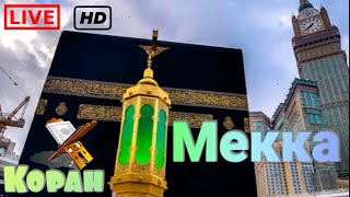 Мекка Онлайн 24/7. 🕋Кааба🕋. Коран. Саудия #ислам #мекка #кааба #коран #хадж #кибла #кса #hajj2020