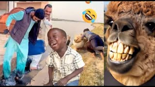 Most Craziest Funny Ever {Eps01} Try Not To Laugh Harder 2025
