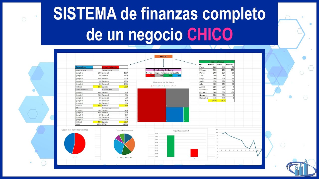 TODAS Las finanzas de un negocio CHICO en una sola imagen