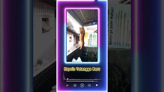 Lagi Kepo Sama Tetangga Baru Bu Guru Juwita Aw Aw