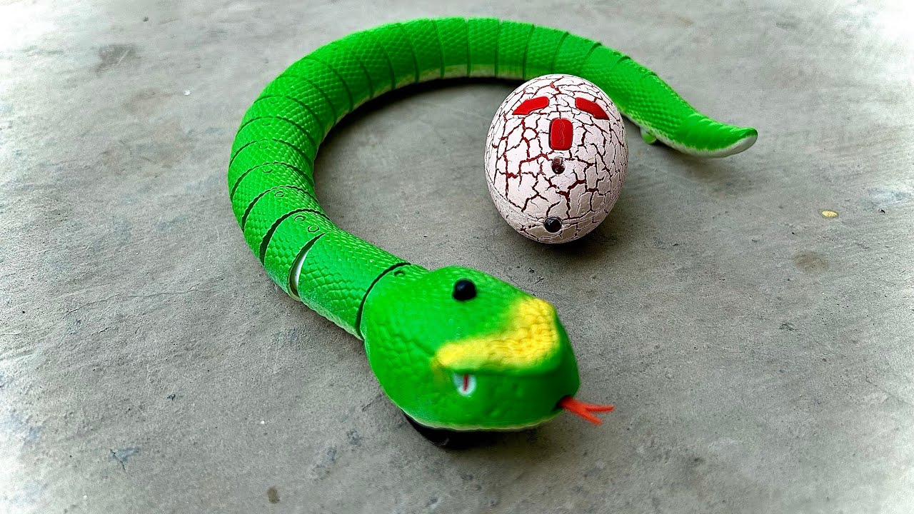 Rc Snake Green Unboxing And Testing 