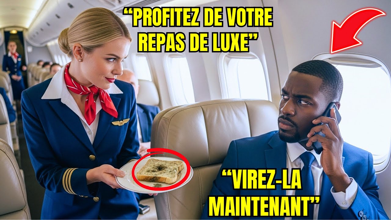 PDG Noir Reçoit Un Repas Moisi — Il Vire L’Agent De Bord Raciste Dès L’Atterrissage