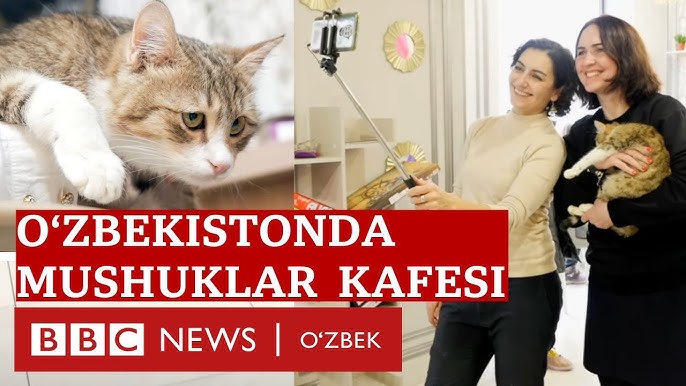 7D kokrak porno Qadimgi italyan porno onlayn