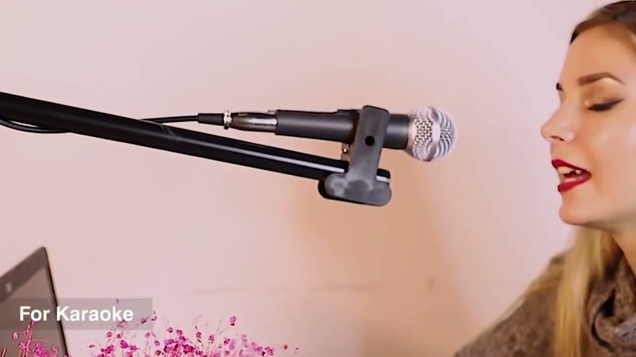 Lokchonk Metal SM58 cardioid Dynamic Microphone For Stage Singing