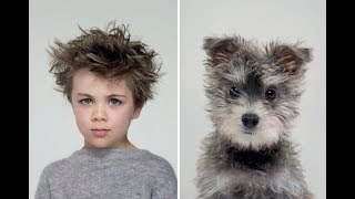 15 Dogs That Look A Lot Like Their Owners !