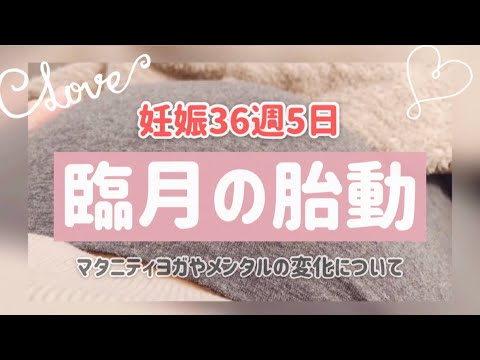 【臨月の胎動】マタニティヨガを始めました。メンタルの浮き沈みとの付き合い方【36週5日】