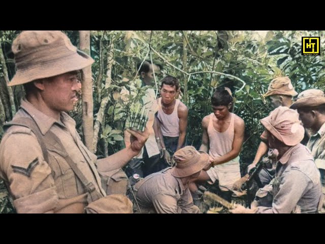 Video Asli| PEMBEBASAN TAHANAN DWIKORA GANYANG MALAYSIA (1966)| Akhir Konfrontasi Indonesia Malaysia class=