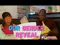 Boy or Girl? Our Gender Reveal!!