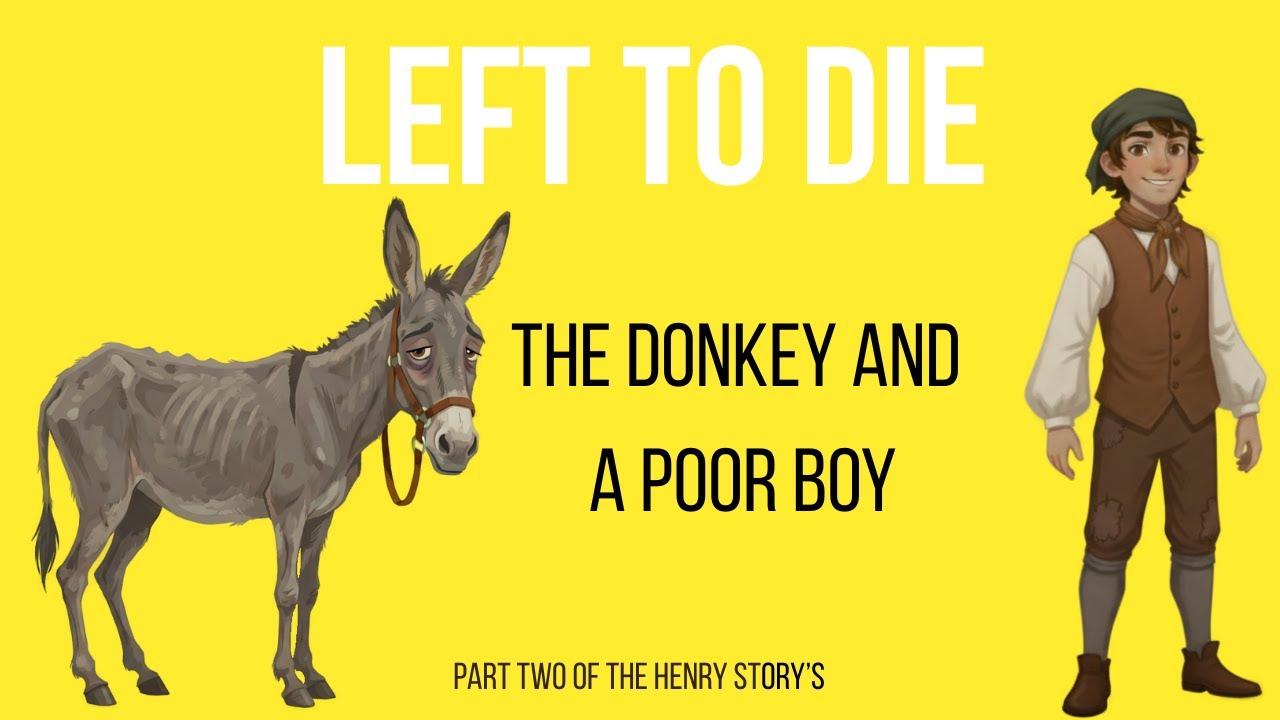 Henry Part 2: Rescued Donkey