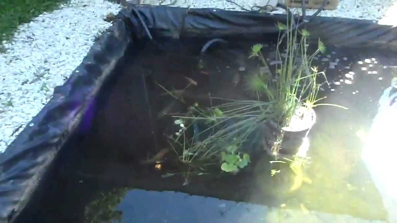 under water-pond feeding