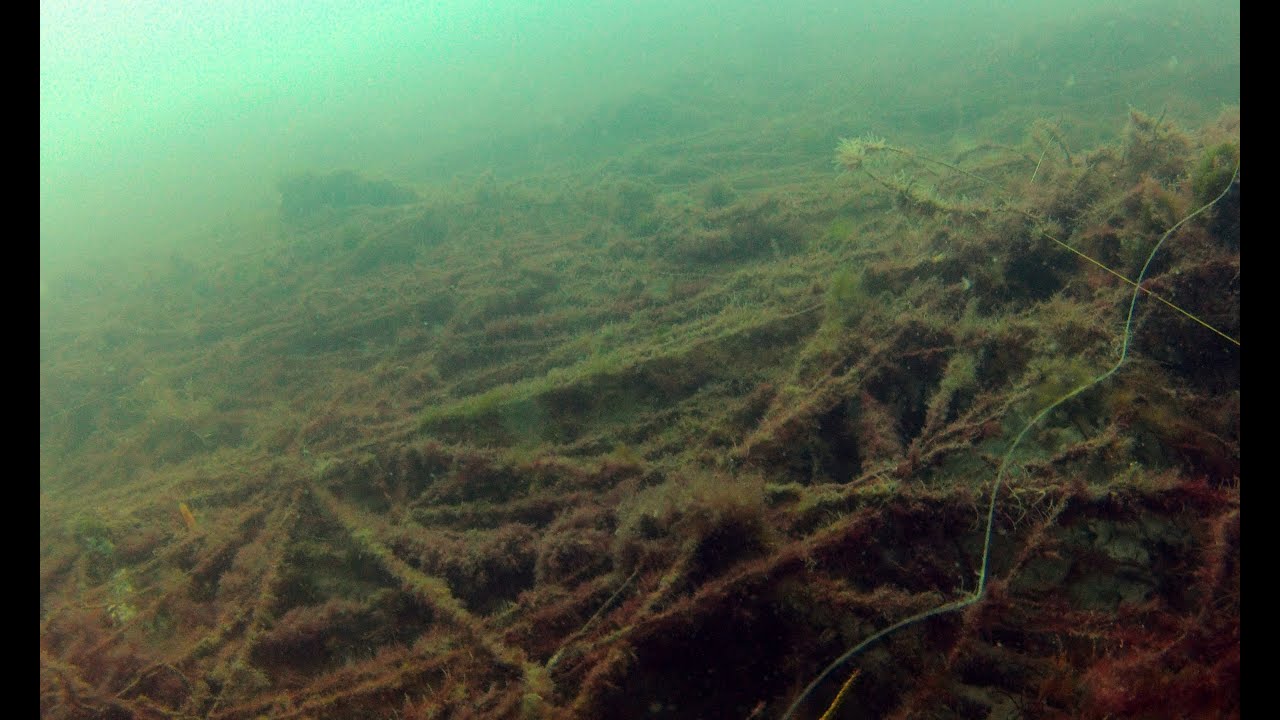 Fishing line on jetty at Ponce Inlet YouTube