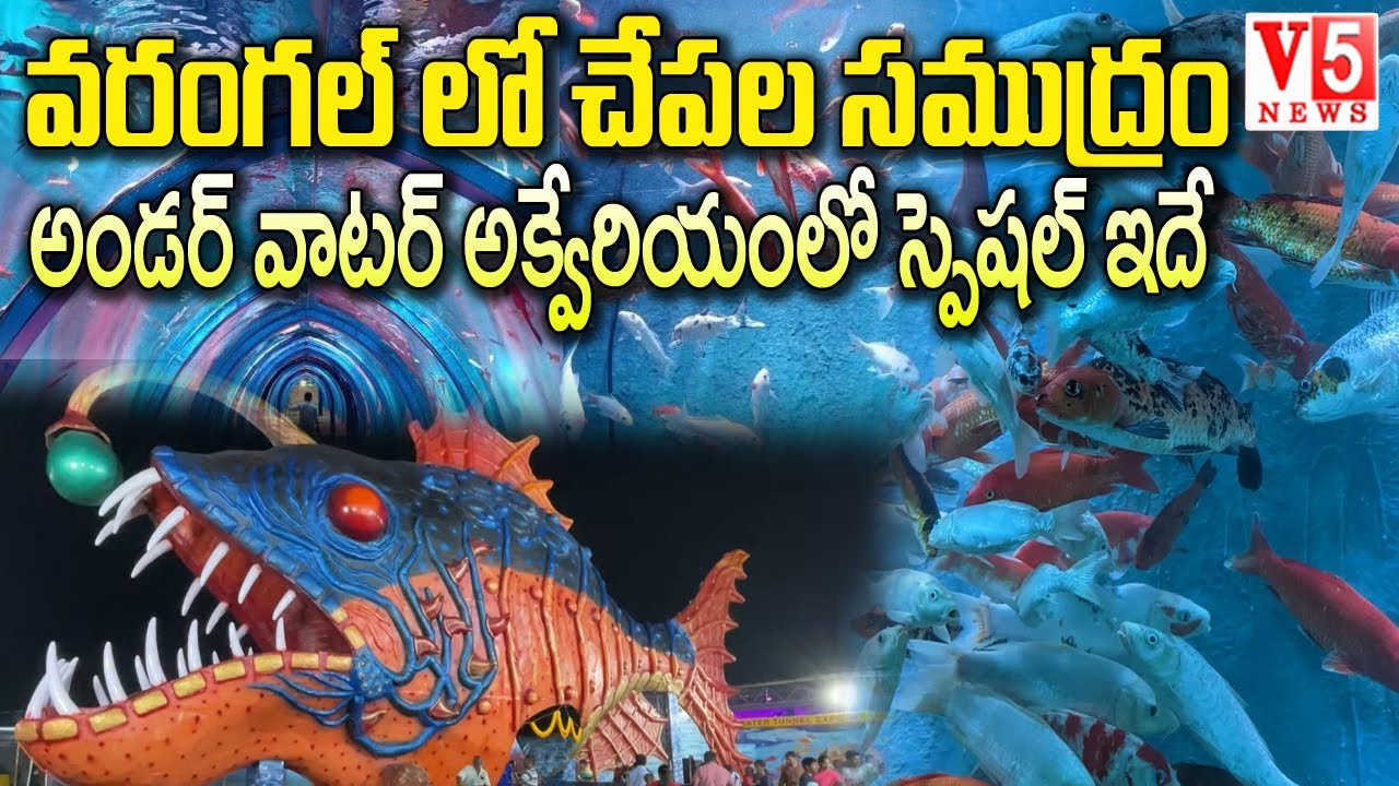 వ‌రంగ‌ల్ చేప‌ల సముద్రంలోకి వెళ్ధాం రండి First Underwater Tunnel