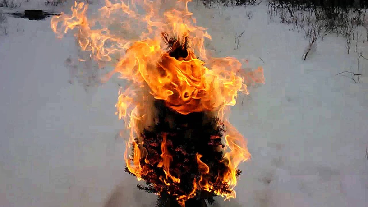 Горит супер горящие туры в оаэ, тайланд из новосибирска, кемерово