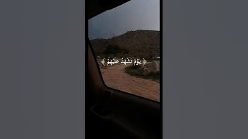 تلاوة خاشعة وجميلة بصوت ماهر المعيقلي||#قران_كريم #ماهر_المعيقلي #سورة_النور #قرآن