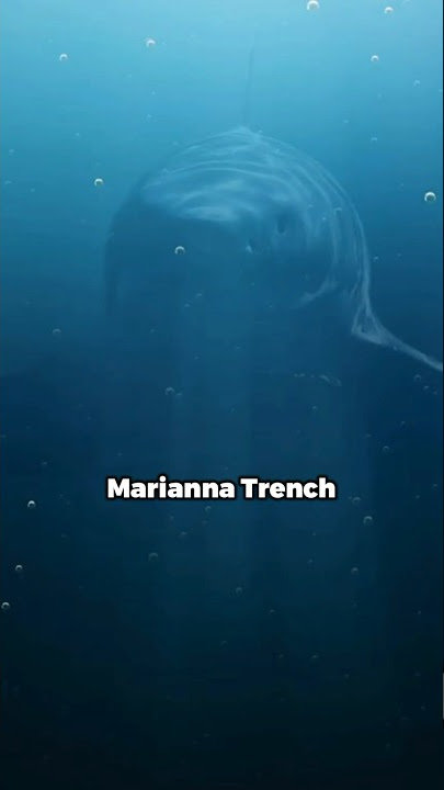 Mariana Trench mystery