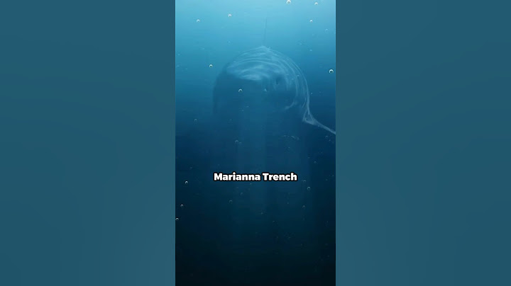 Mariana Trench mystery