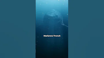 Mariana Trench mystery