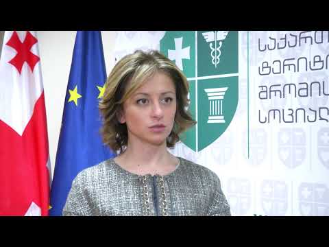 ჯანდაცვის მინისტრი ეკატერინე ტიკარაძე ირანის რესპუბლიკის ელჩს შეხვდა