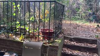 408 Clermont Avenue, Brooklyn NY 11205