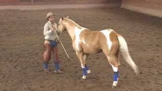 Global Equus