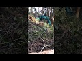 forestry workerz in japan miyagi宮城県 林業 作業路作設 タイムラプス