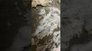 Zawilgocona ściana z wykwitami soli #budowa #ekspertyza
