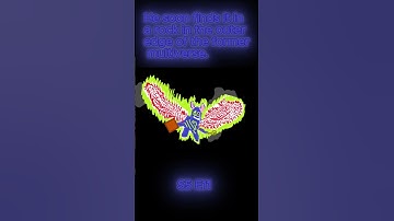 YOU Change the Map: Journey of Stichos