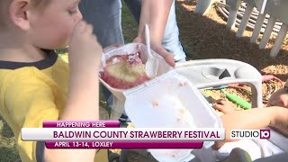 The Baldwin County Strawberry Festival is back!