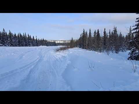Cats In Quarantine And Snowmachines - Remote Alaska